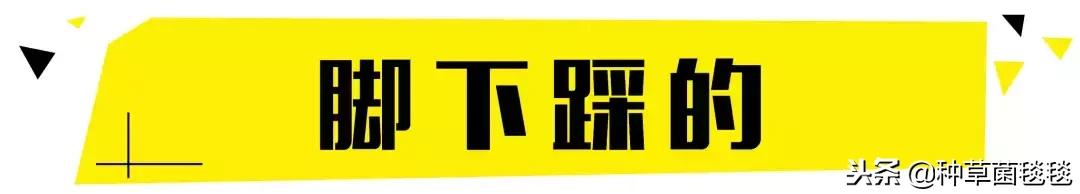 圣诞美颜好强大,圣诞超级套装大全