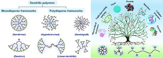 精选JACS/Angew12篇:树枝状大分子的最新成果大盘点