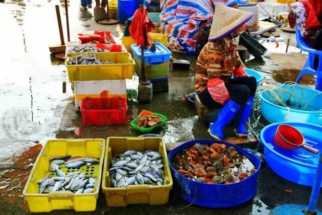 比鼓浪屿大12倍,比三亚安静10倍!这小岛最适合现在去,美轮美奂