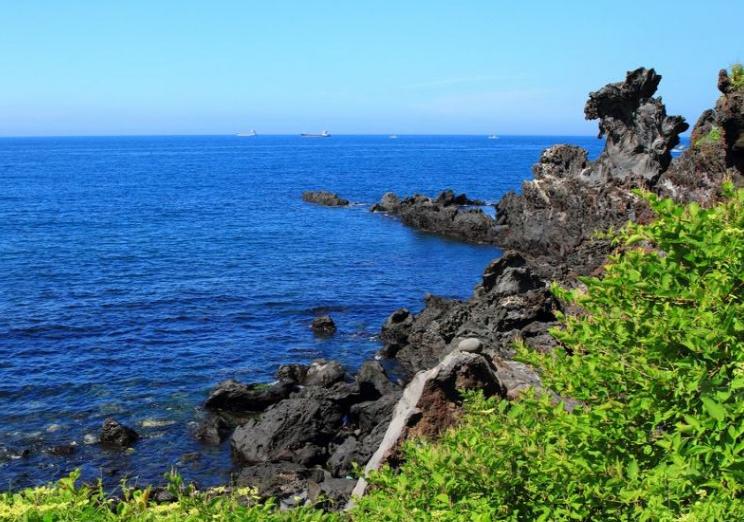 去济州岛回来麻烦吗,去济州岛玩了一趟