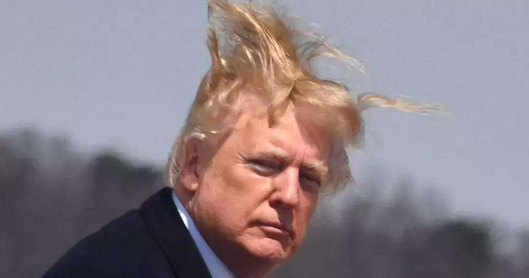 特朗普是作家吗,总统特朗普的名著