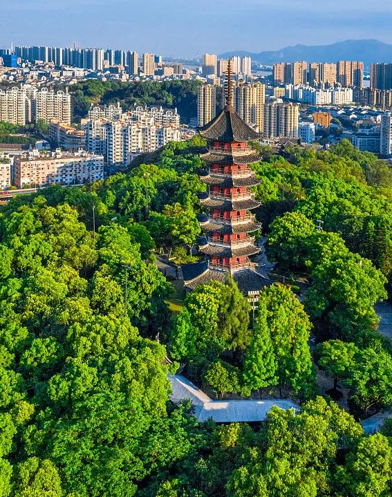 什么是温州游戏,什么是温州