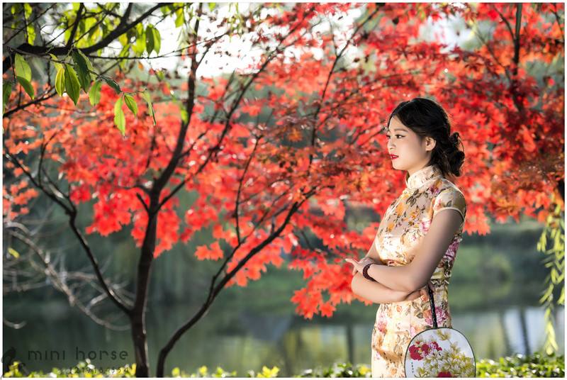 长安水边多丽人,长安水边多丽人全文