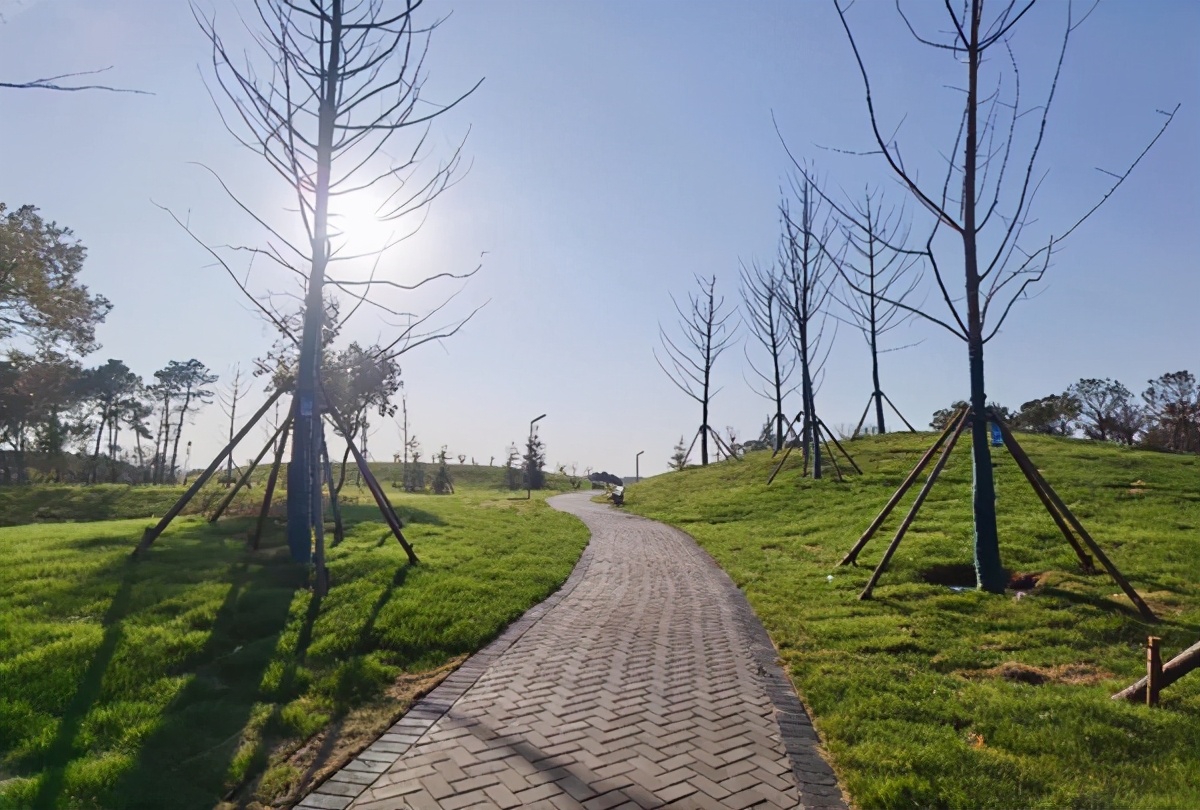 湖北高校风景,湖北风景最美的大学