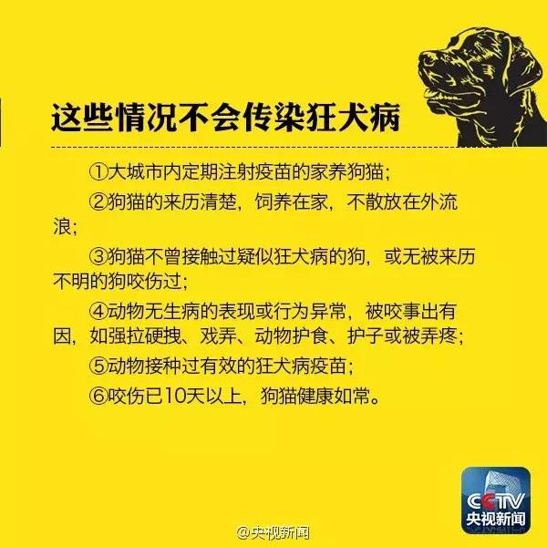 猫抓伤破皮没出血用打狂犬病针吗,潜伏期的猫抓伤人会导致狂犬病吗