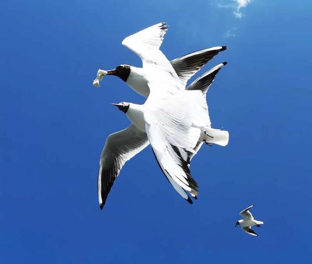 手拍世界手机摄影平台,手拍世界摄影平台