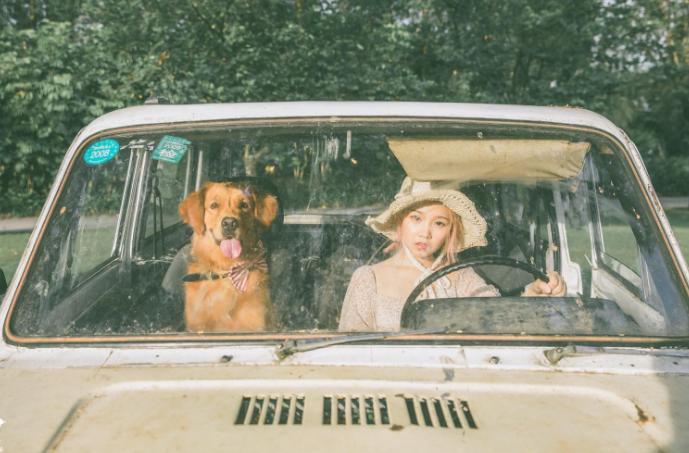 饲养宠物狗易出现的几大误区,宠物狗饲养方法和注意事项