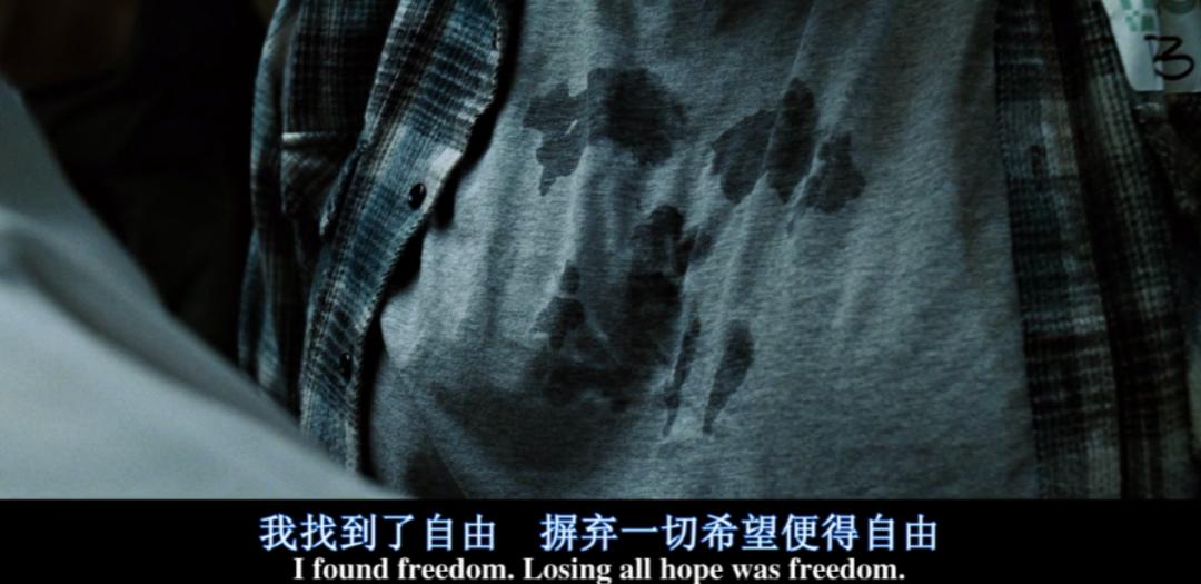 上映时恶评如潮,上映时恶评如潮的电影