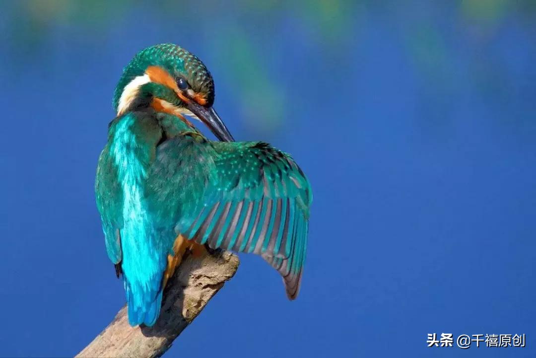 传统工艺珠宝,盘点中国传统珠宝首饰制作工艺