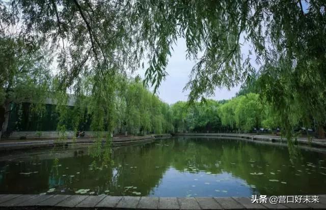 沈师复试通知,沈师现在让进吗