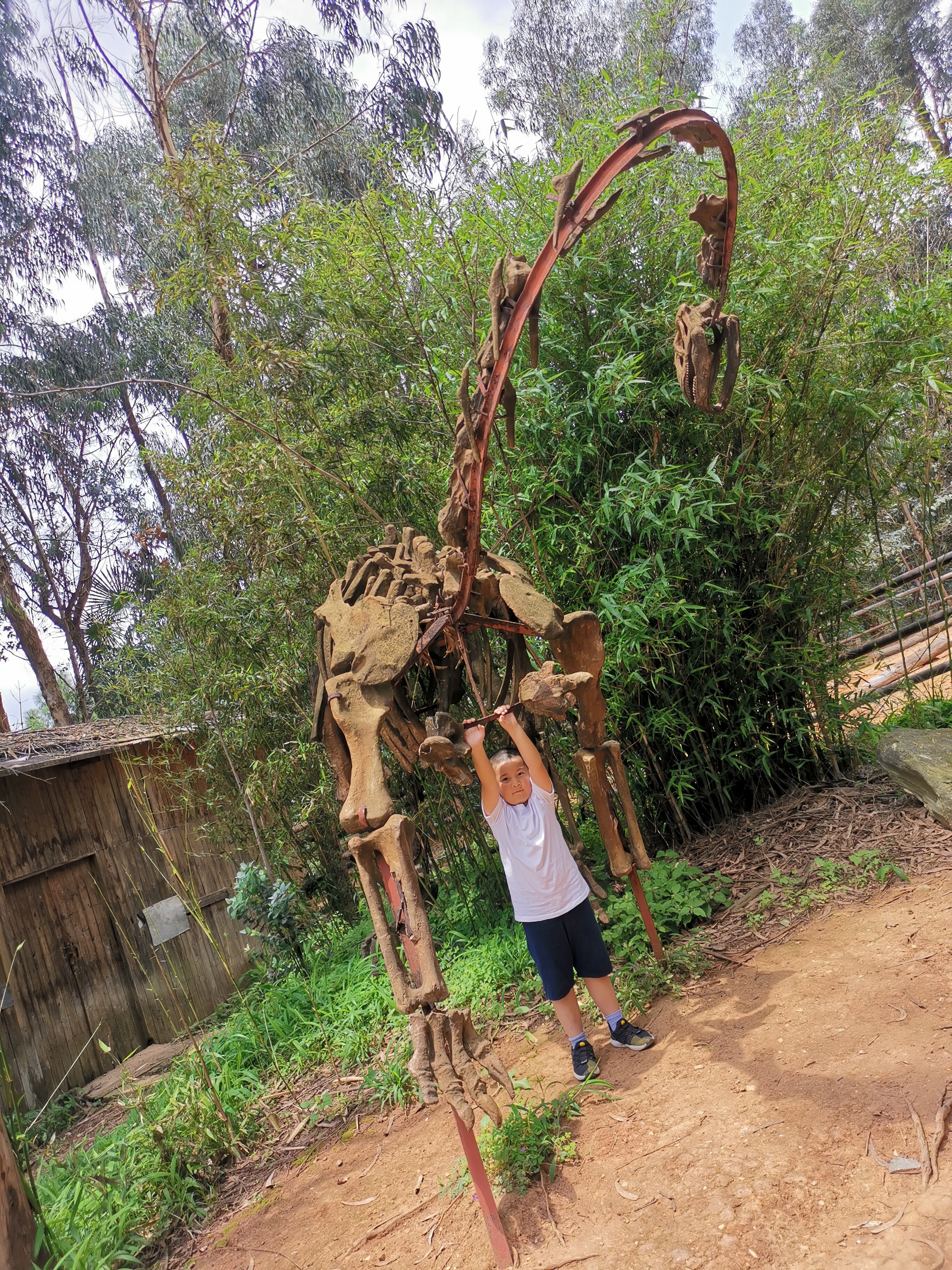 云南野生动物园免票吗,云南野生动物园有什么好玩的