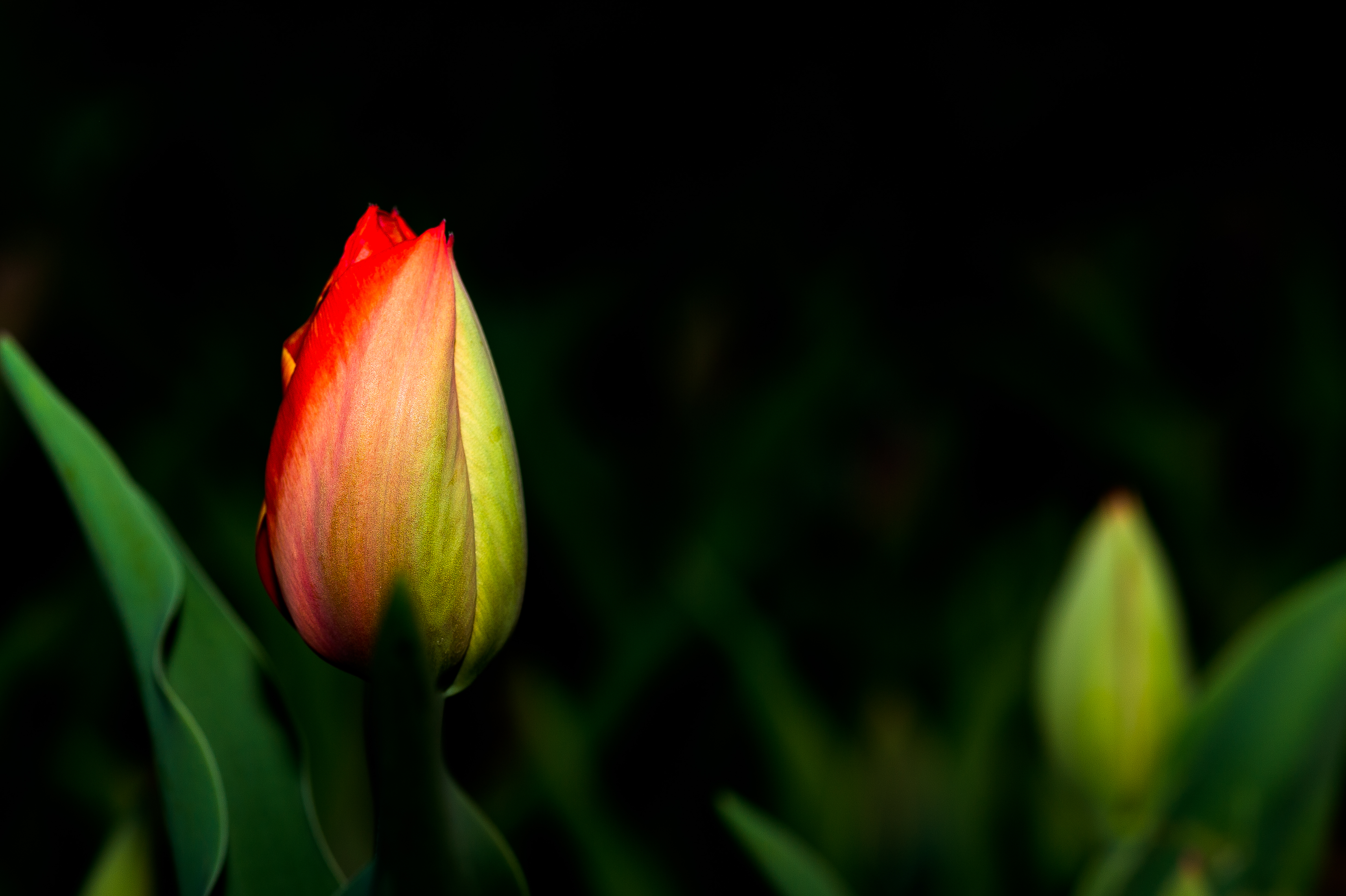 我与摄影的这些年,我和摄影的感悟