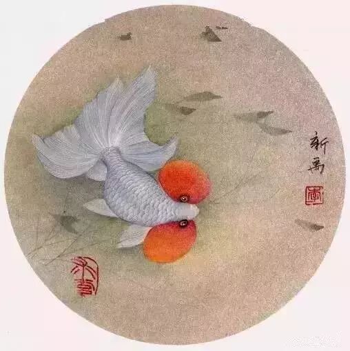 工笔金鱼线稿100例,工笔金鱼图片大全大图