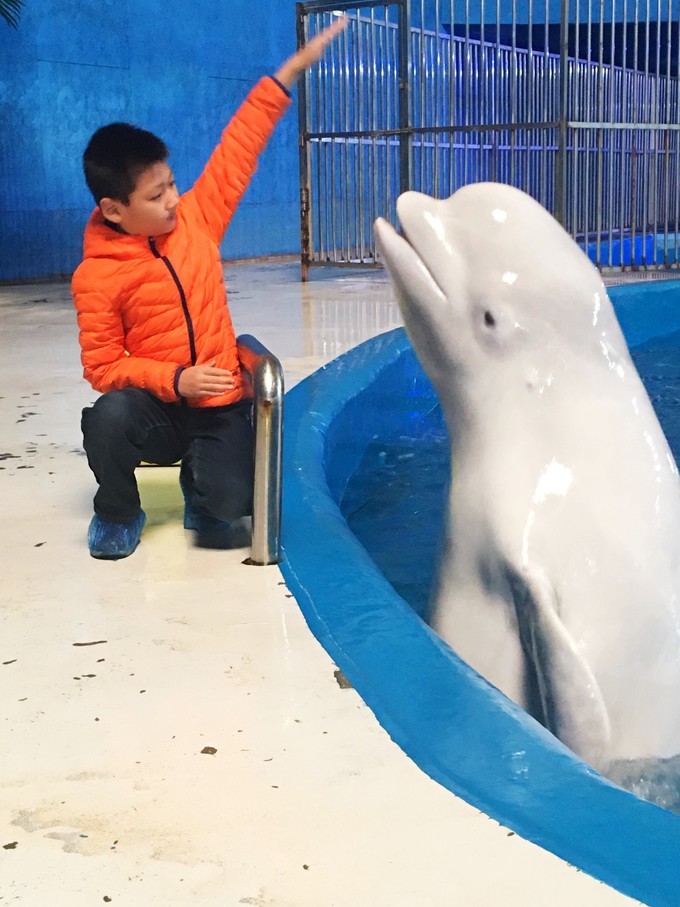 泉城极地海洋世界离济南西站多远,济南海洋极地世界离济南西近吗