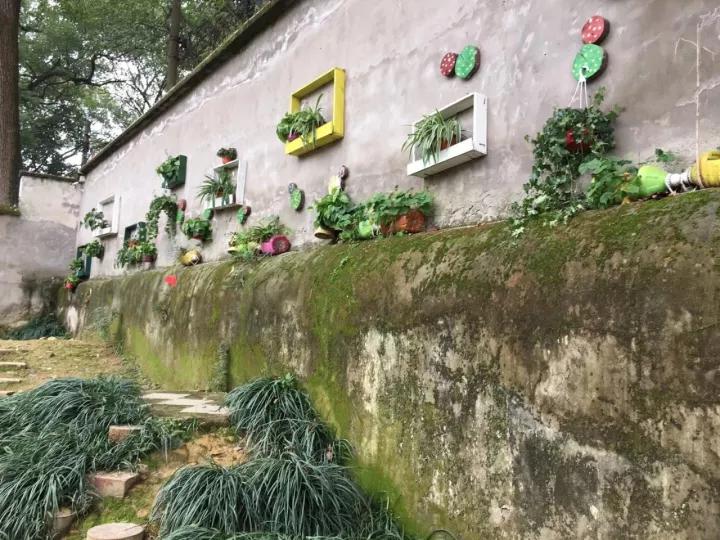 4.13重庆逐梦歌乐山上的“巴学园”探索“世界级乡村幼儿园