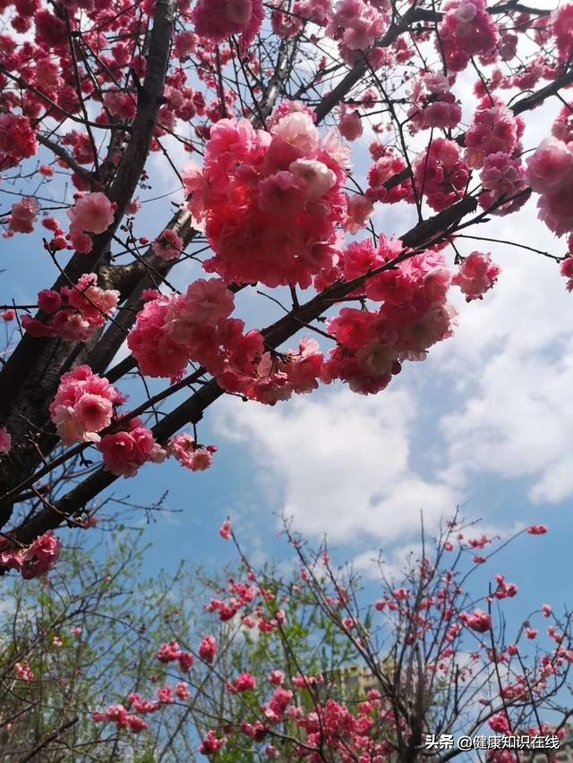 甘油三酯增高怎么降下来,甘油三酯轻度增高