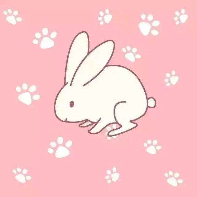 儿童简笔画入门动物4-6岁男孩,10000种超萌动物简笔画大全