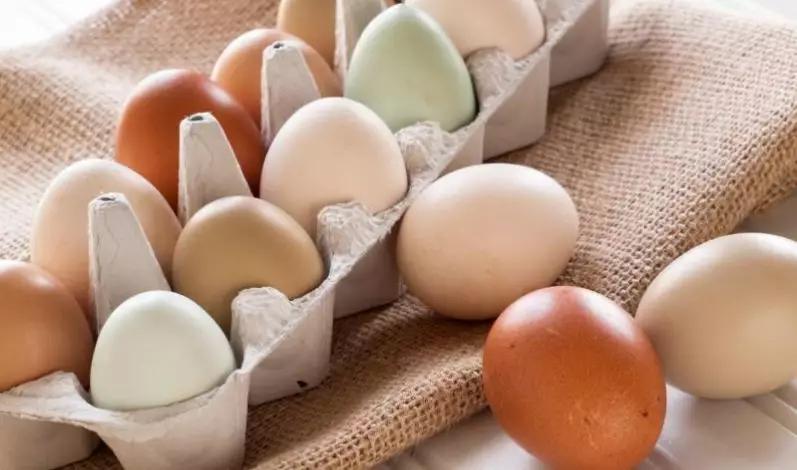 白皮鸡蛋和红皮鸡蛋营养区别,红皮鸡蛋vs白皮鸡蛋哪种更营养