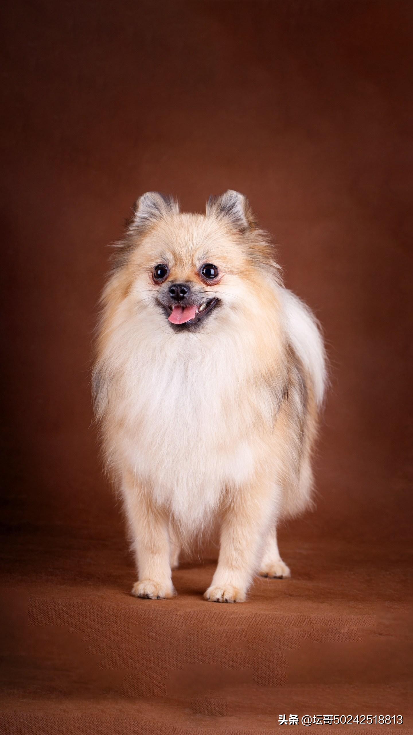 控制好情绪杜绝生气,生气的时候怎么能理智