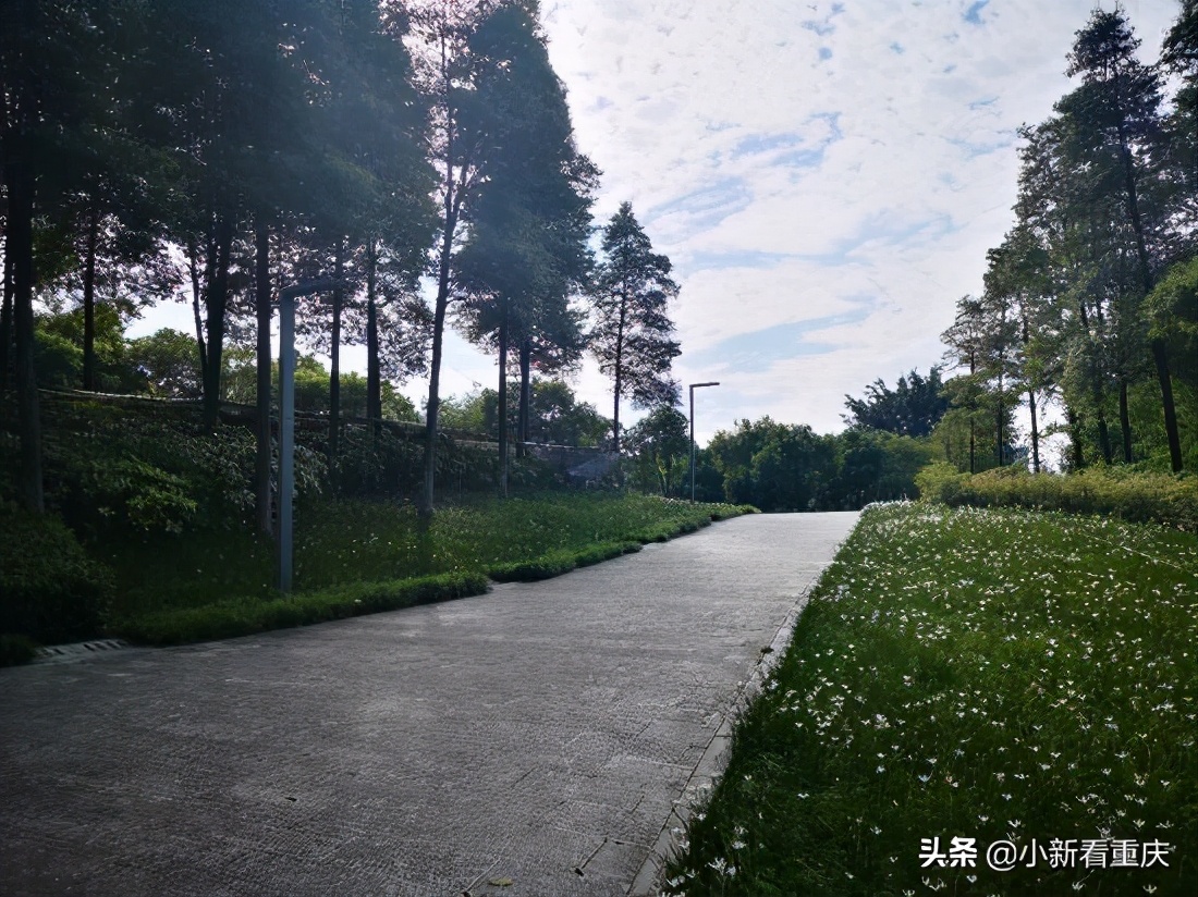 重庆悦来生态新城,悦来新城重庆