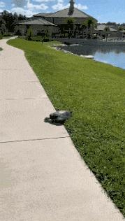 只能亮度调亮才能看得懂的梗,调高亮度才能看懂的梗