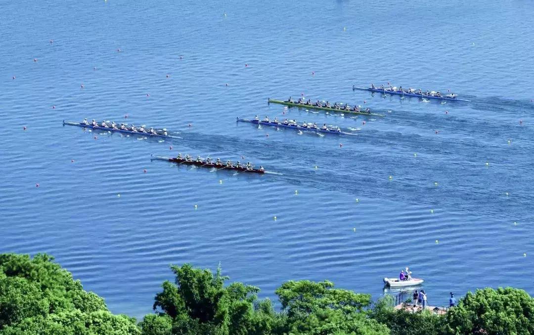 武汉刷屏了,武汉刷屏