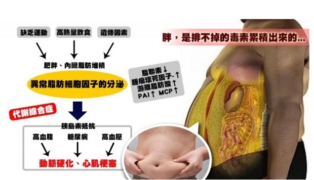 人很瘦肚子却很大,宝宝很瘦肚子很大怎么回事