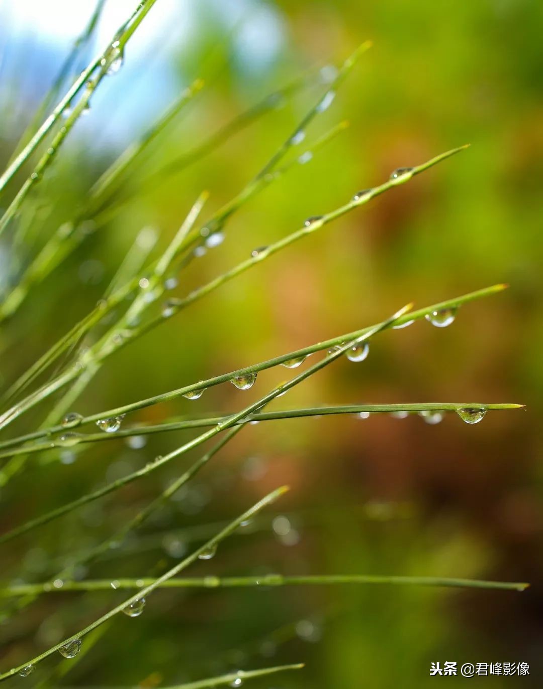 2018年最值得感动的时刻,对于2018你最大的收获是什么