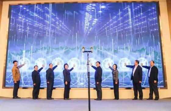 寿光菜篮子果蔬,寿光粤港澳大湾区蔬菜