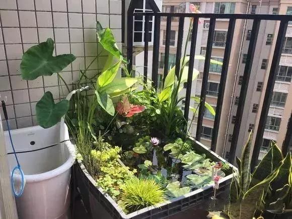 小型鱼缸养金鱼过滤哪种好用,养金鱼鱼缸需要过滤吗