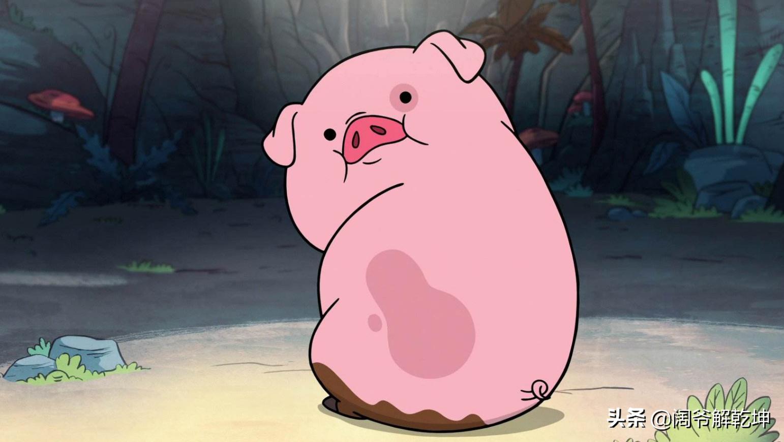 12生肖生日运势,通过你的生日看到你的运势……