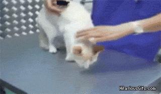 钱可以当尺子,乳头可以录指纹,奇奇怪怪的知识太多了!