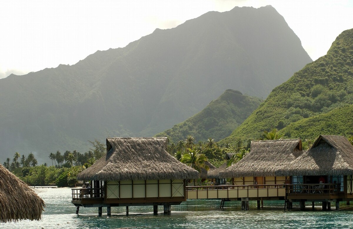 唐代诗人杜甫风格特点,杜甫每首诗表达的情感特点