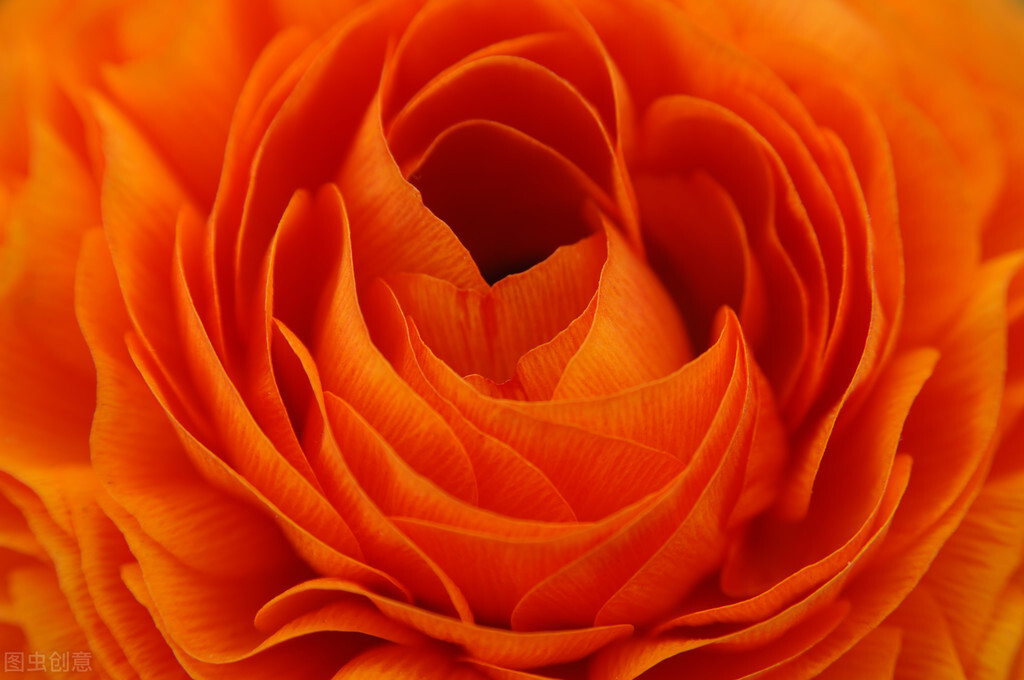 同样只活在自己的世界里，熊磊、丁红、素老三，人生如此不同