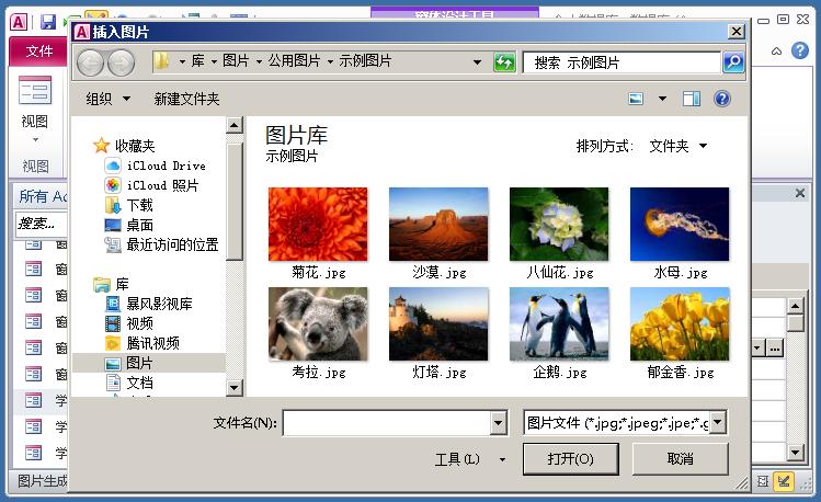access数据录入窗体实例视频,access用户登录窗体实例