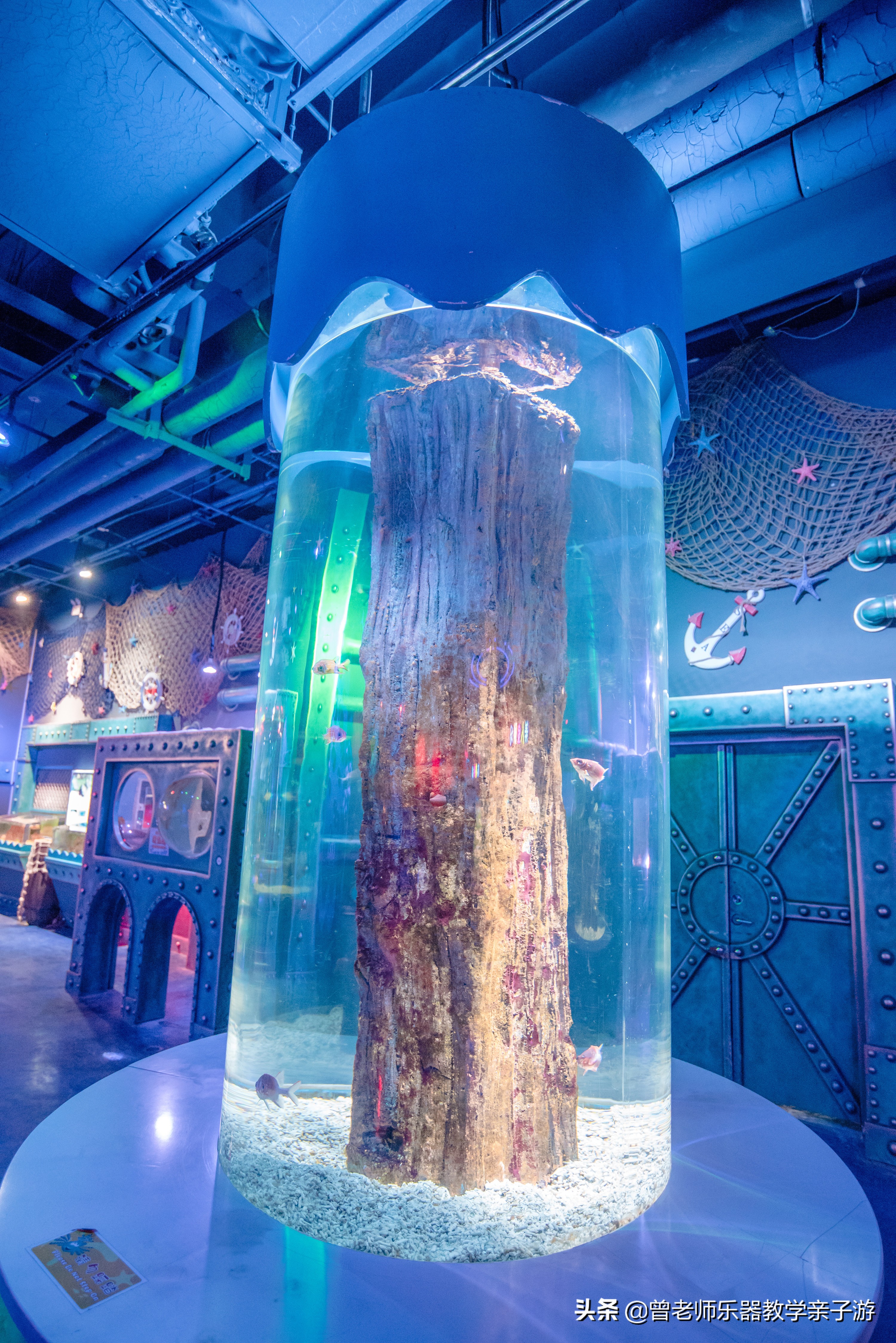 西安太奥海洋馆,西安极地海洋世界海豚表演