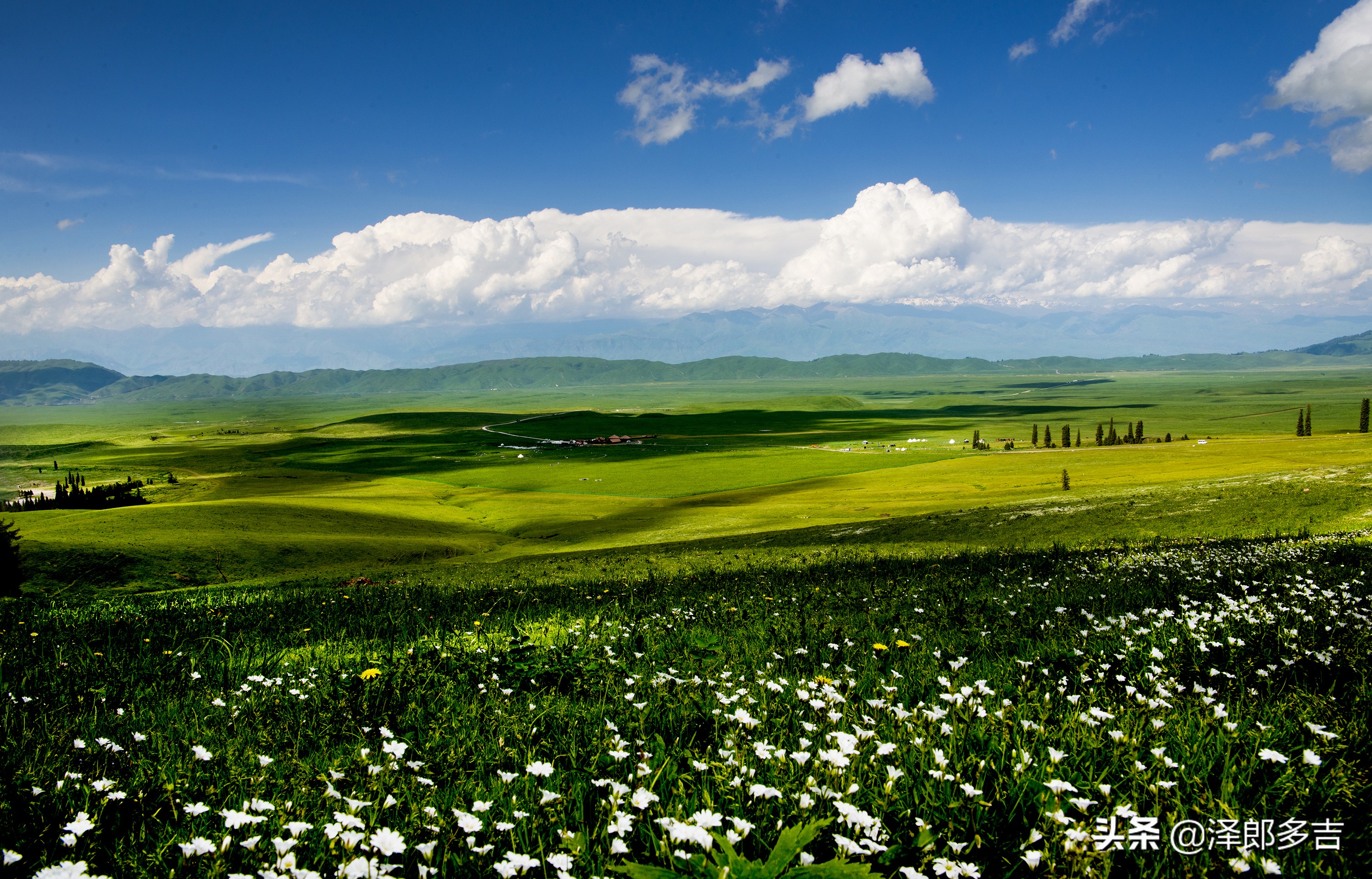 喻林斌摄影作品欣赏：“醉镜”那拉提