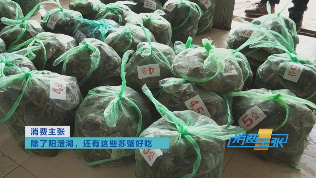 阳澄湖大闸蟹捕捞现场,大闸蟹捕捞现场