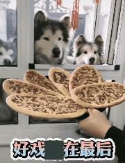 如何清理运动鞋推荐的鞋垫,洗运动鞋鞋垫的方法