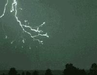 当一颗大蒜被黑了之后，吃货们发现了它的隐藏能力（菲李漫画）