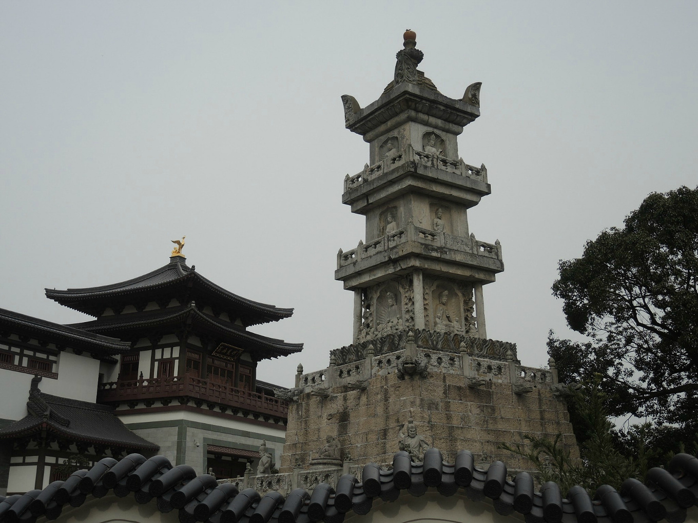 自助旅行普陀山,普陀山旅行