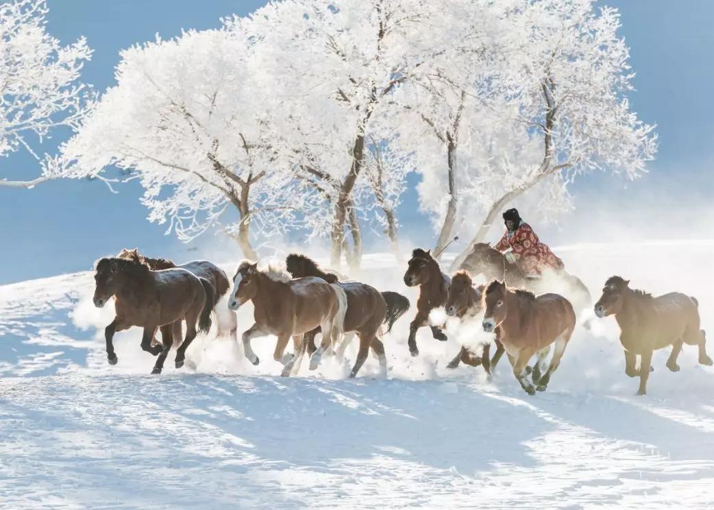 冬日的坝美有多美,冬日的坝上草原