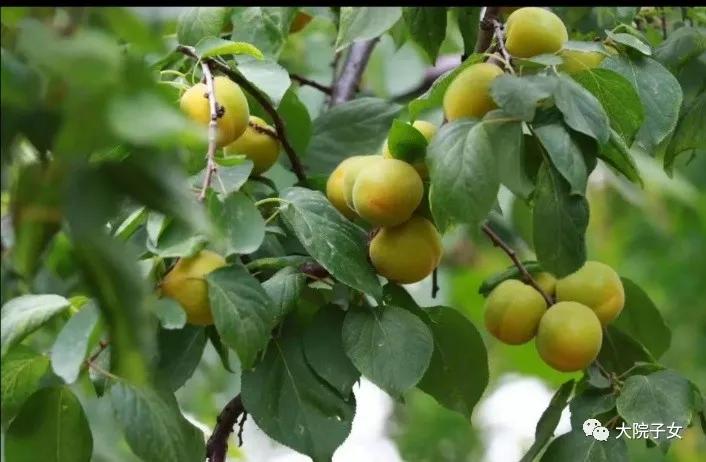 军旅故事分享,军营故事未完待续