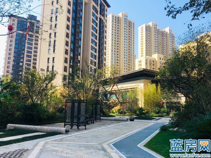 龙岩蓝房最新消息,蓝房探盘