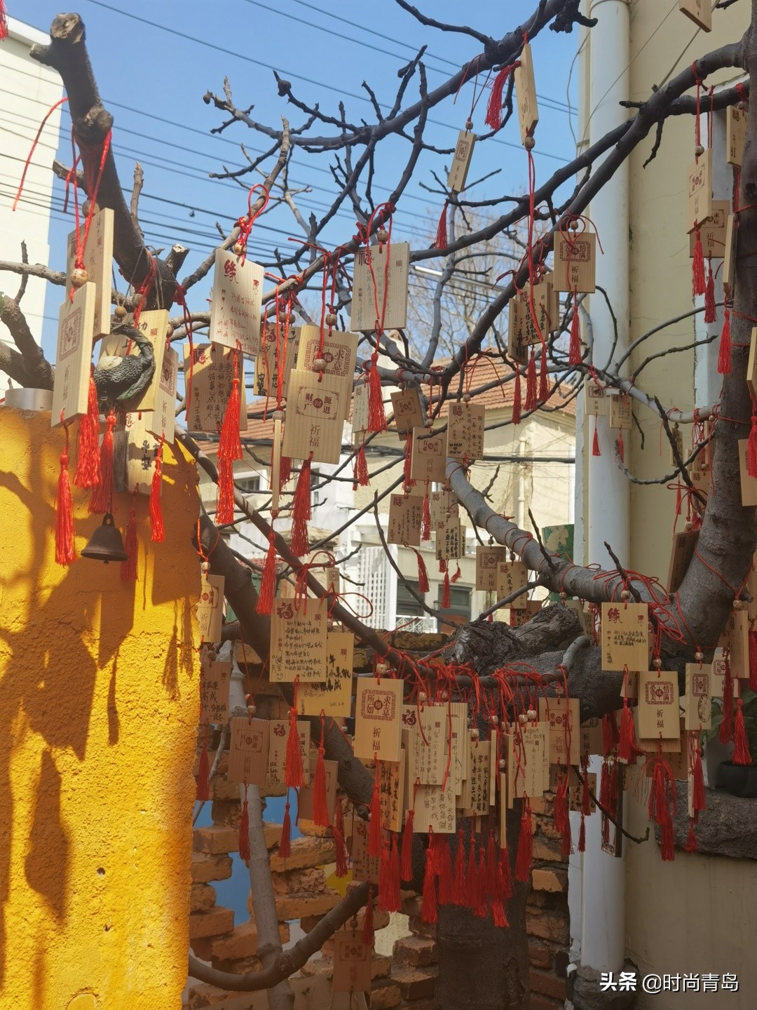 青岛宫崎骏漫画里的风景在哪里,宫崎骏漫画小镇青岛