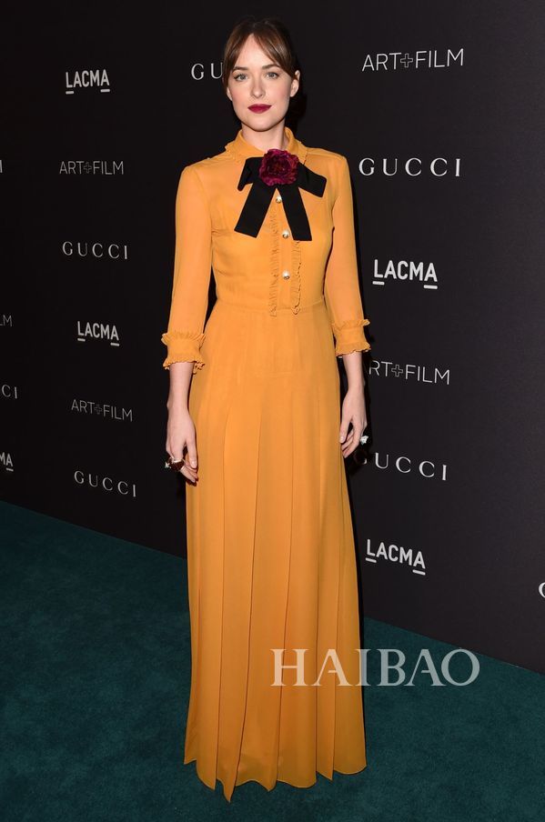 达科塔约翰逊个人简介,达科塔约翰逊惊艳