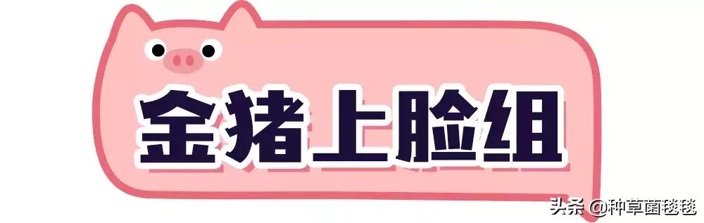 25块买啥,25块买什么东西