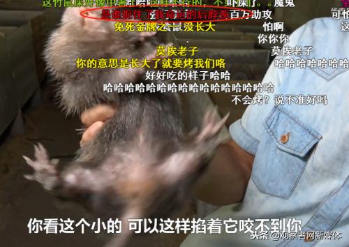 鍗庡啘鍏勫紵鍙嬫儏,鍗庡啘鍏勫紵娌宠竟