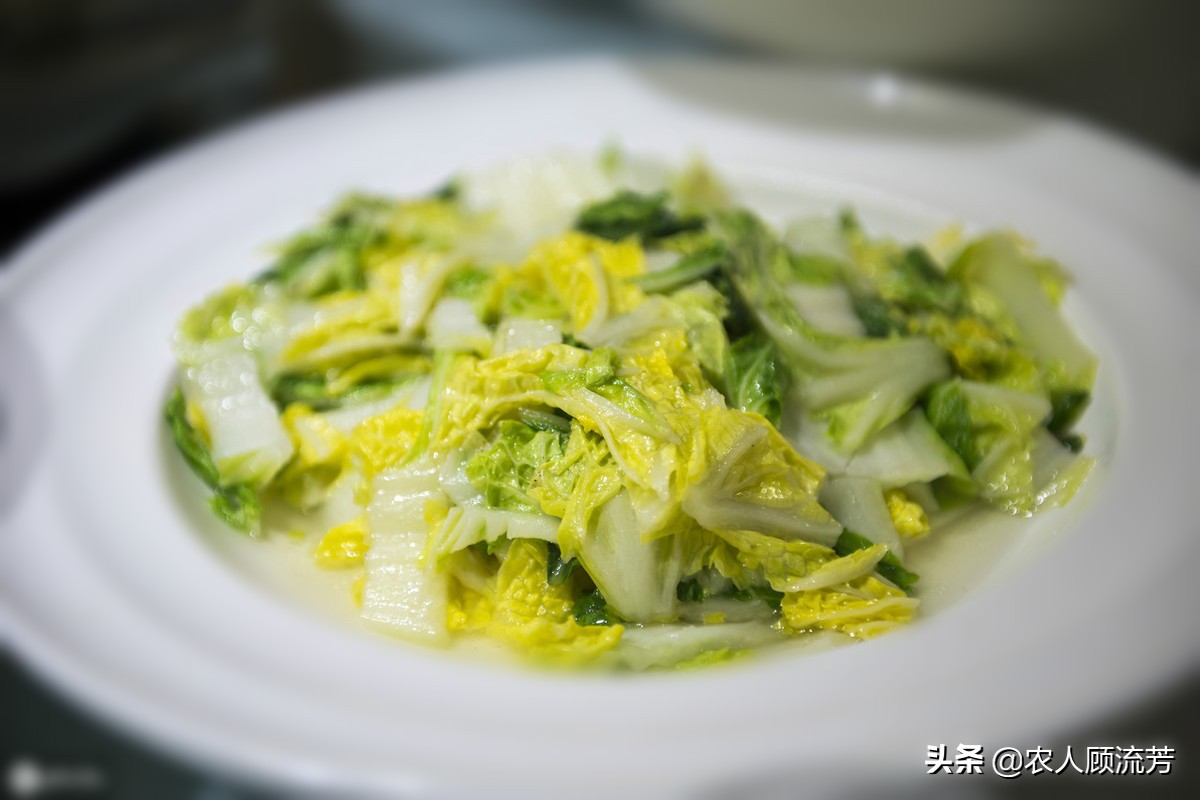 白菜种叶发黄的治疗方法,白菜枯死怎么治