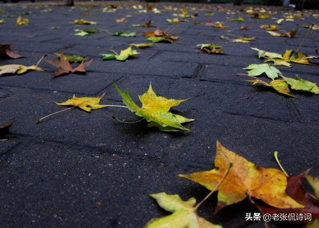 写宋朝的唯美古诗,最简单的宋朝古诗